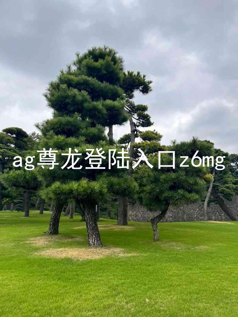 ag尊龙登陆入口z6mg